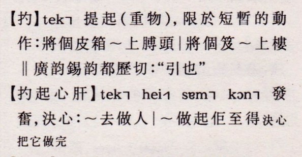 《廣州方言詞典》